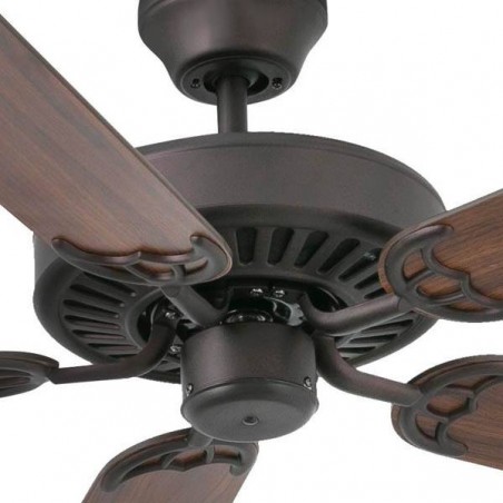 Ceiling Fan with light Aloha