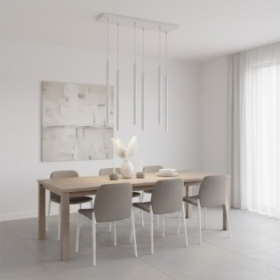 Uza Gray Pendant Lamp (6 lights)