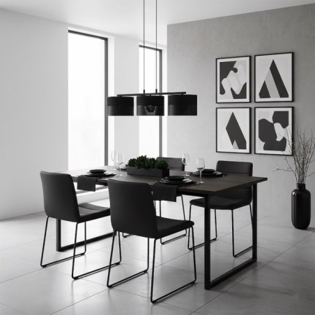 Lomis Black Pendant Lamp (3 lights)