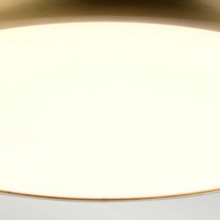 LED Ceiling Flush Light Welland (12W)