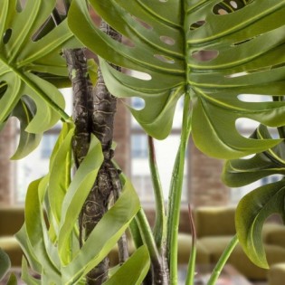 Artificial Monstera Plant