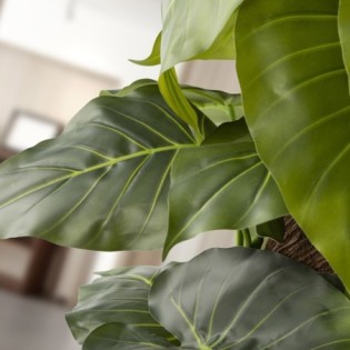 Artificial Taro Plant