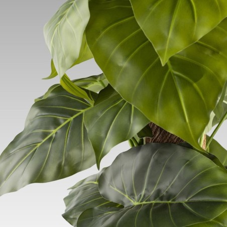 Artificial Taro Plant