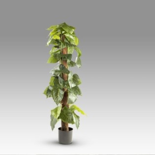 Artificial Taro Plant