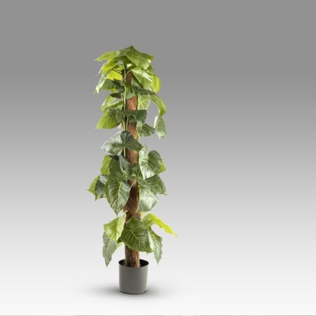 Artificial Taro Plant