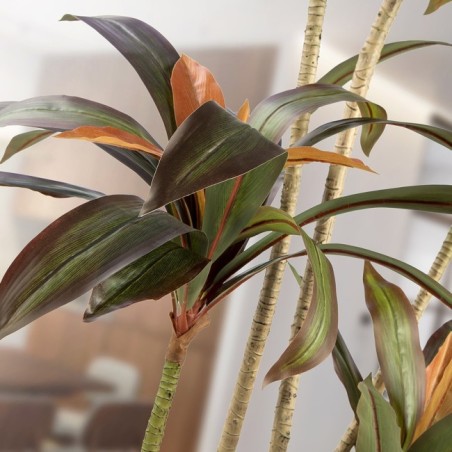 Artificial Plant Red Dracaena