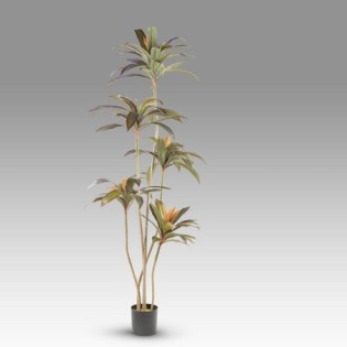 Artificial Plant Red Dracaena