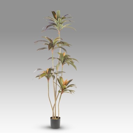 Artificial Plant Red Dracaena