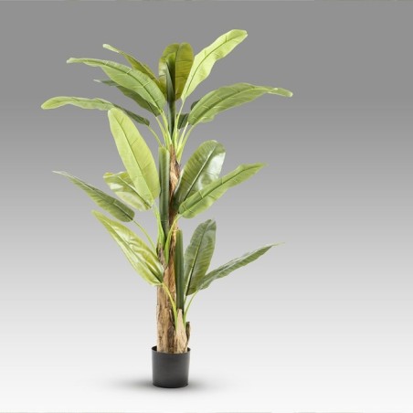 Artificial Banana Plant