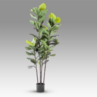 Artificial Fig Tree