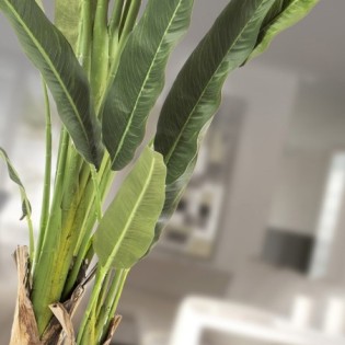 Artificial Traveler Palm Plant