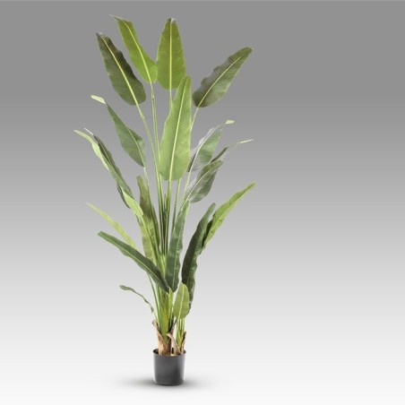 Artificial Traveler Palm Plant