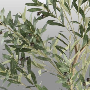 Artificial Olive Plant