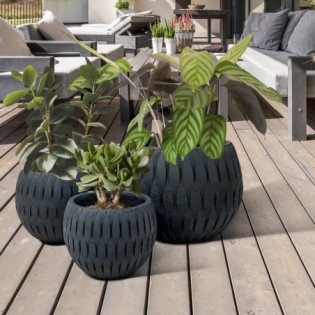 Yuca Planter