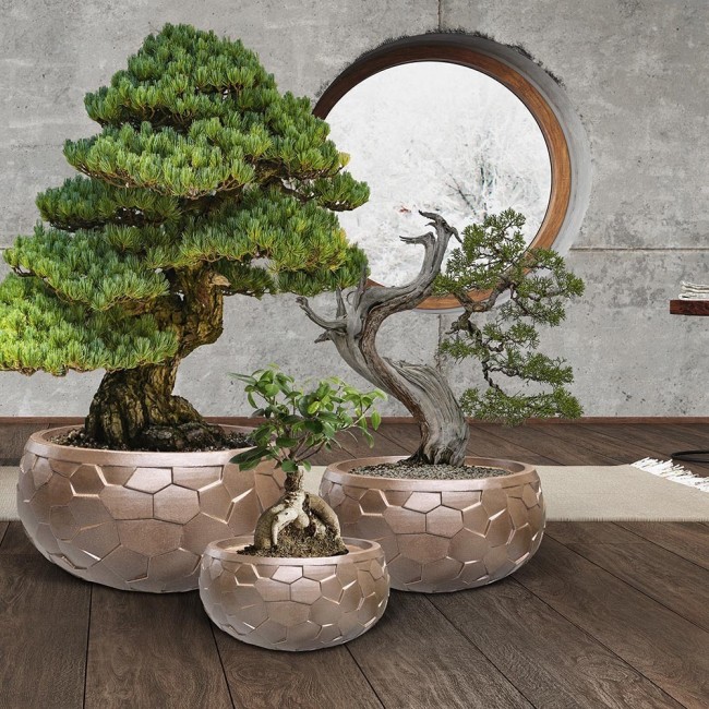 Cinnamon Planter