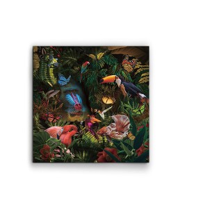 Wildlife Photography Frame (100x100)