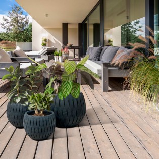 Yuca Planter