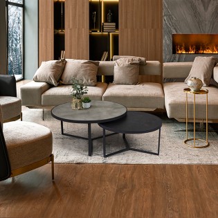 Naira Coffee Table (Set of 2)