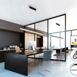 LED Ceiling Lamp Ixias (24W)