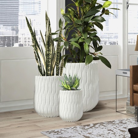 Jasmine Planter