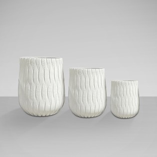 Jasmine Planter