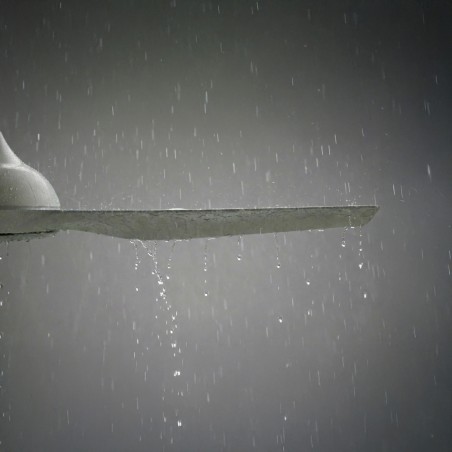 Outdoor Ceiling Fan Dana IP66