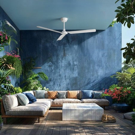 copy of VT 65 DC 21W CCT BL ABS MONTY