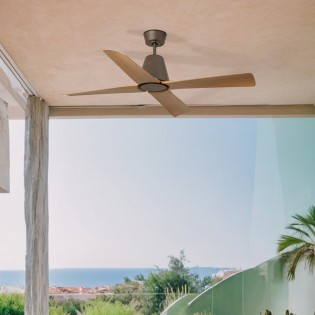 Ceiling Fan Typhoon