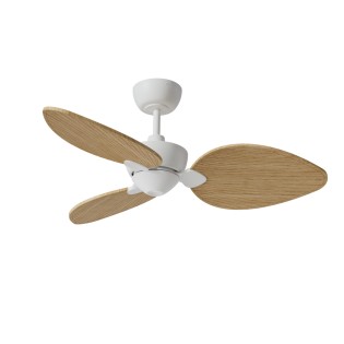 Alma S 3-Blade CCT Dimmable LED Ceiling Fan (6W)