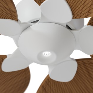 Alma L 5-Blade CCT Dimmable LED Ceiling Fan (6W)