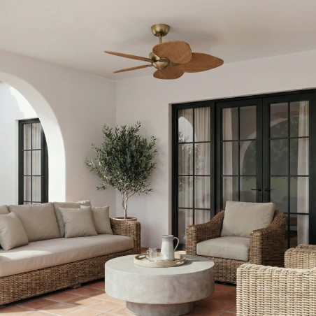 Alma S 5-Blade CCT Dimmable LED Ceiling Fan (6W)