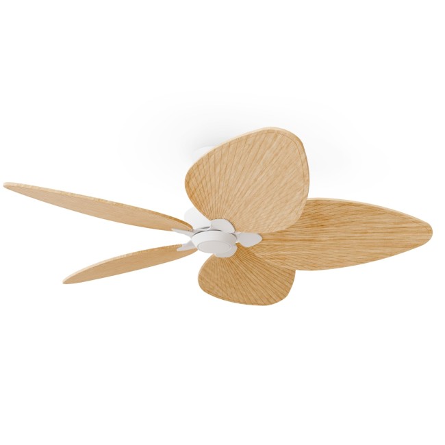 copy of Alma L 3-Blade Ceiling Fan