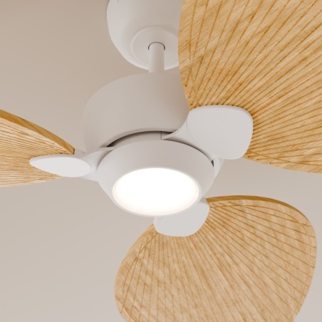 Alma L 3-Blade CCT Dimmable LED Ceiling Fan (6.5W)