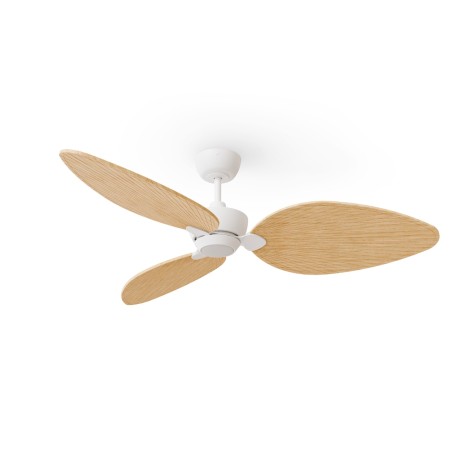 Alma L 3-Blade CCT Dimmable LED Ceiling Fan (6.5W)