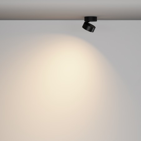 Lens Surface LED Spotlight (12W)