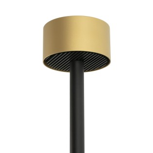 Gold accessory Staff