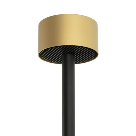 Gold accessory Staff