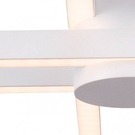 Lámpara de techo LED Fidelia