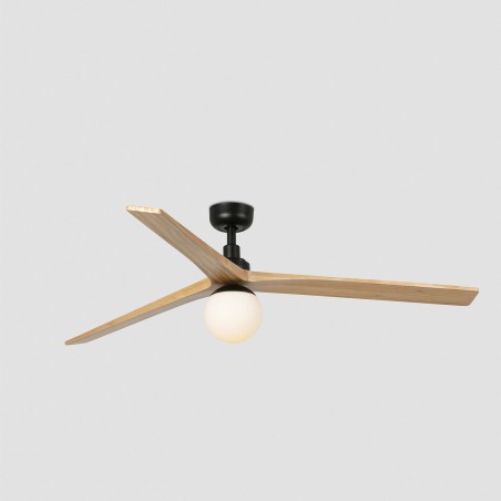 Ceiling fan with light Klim L