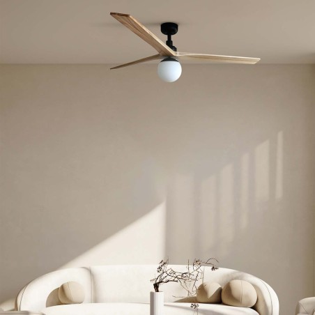 Ventilador de techo con luz Klim L