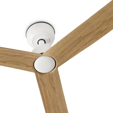 copy of Ventilador de techo Heywood Tub S