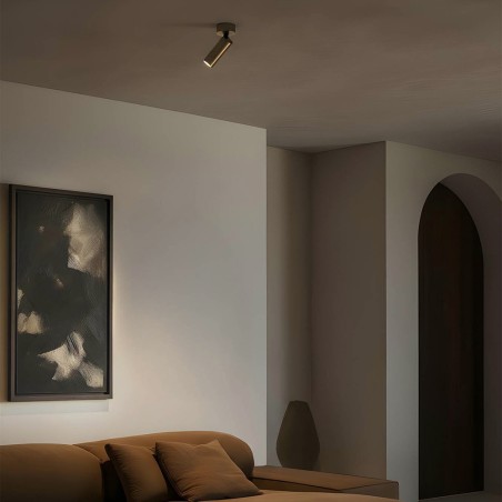Ceiling Spotlight Stan Slim