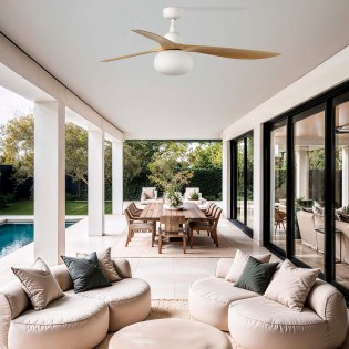 Ceiling fan with light...