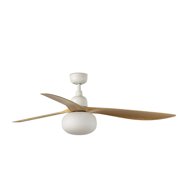 Ceiling fan with light Outwood L IP44