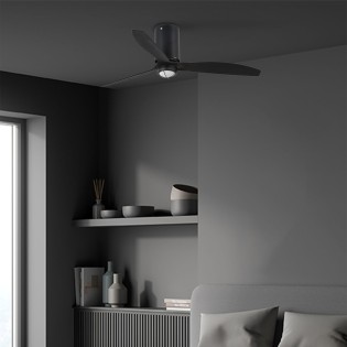 Ceiling fan with LED light...