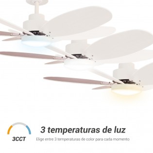 LED Ceiling Fan Rainbow M White CCT (Dim (18W)