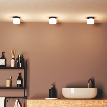 copy of Plafón de techo LED para baños Nilo 2CCT (12W)