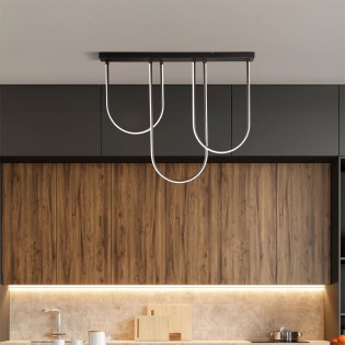 LED Ceiling Flush Light...