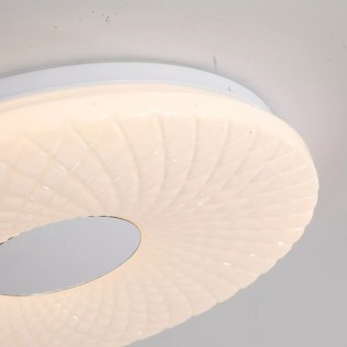 LED Ceiling Flush Light Halolux (22W)