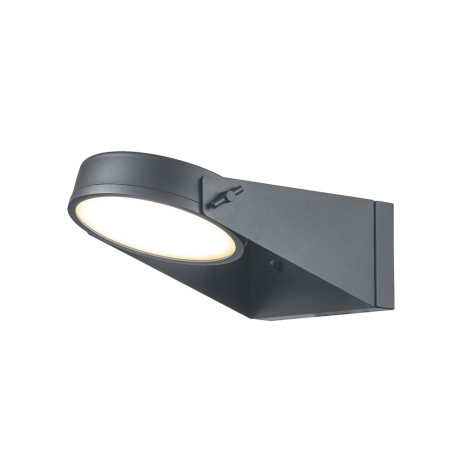 Zola LED  Wall Lantern